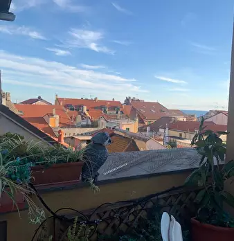 Foto annuncio 5