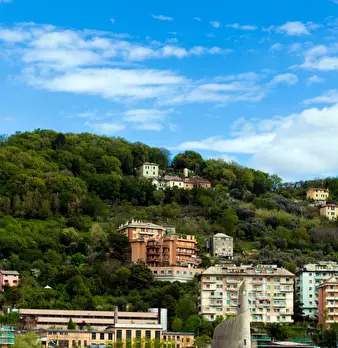 Foto annuncio 31