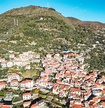 Foto annuncio 14