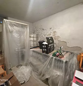 Foto annuncio 44