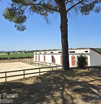 Foto annuncio 71