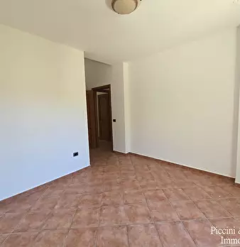 Foto annuncio 24
