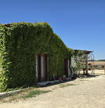 Foto annuncio 66