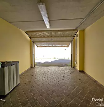 Foto annuncio 46