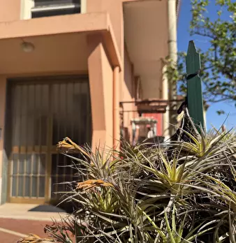 Foto annuncio 3