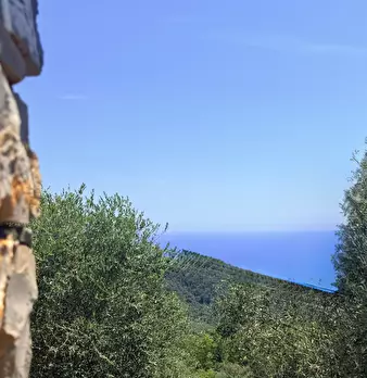Foto annuncio 17