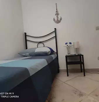 Foto annuncio 11