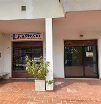 Foto annuncio 3