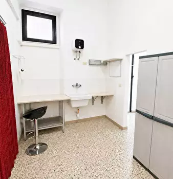 Foto annuncio 9
