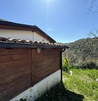 Foto annuncio 62
