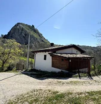 Foto annuncio 63