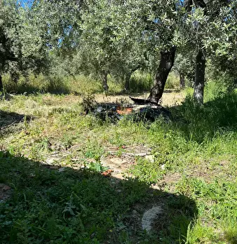 Foto annuncio 4