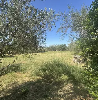 Foto annuncio 20