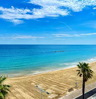 Foto annuncio 16