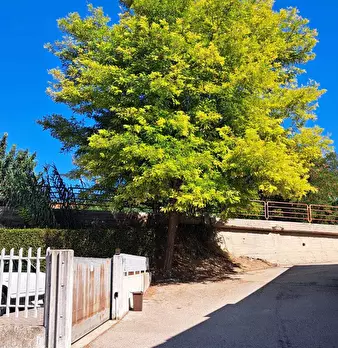 Foto annuncio 28