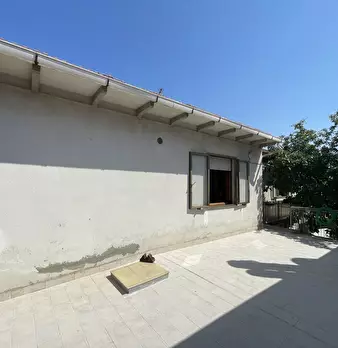 Foto annuncio 21
