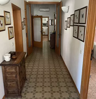 Foto annuncio 15