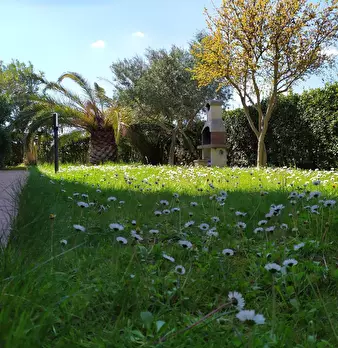 Foto annuncio 2