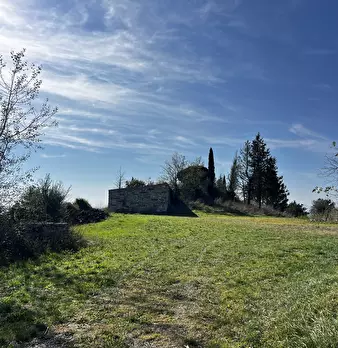Foto annuncio 84