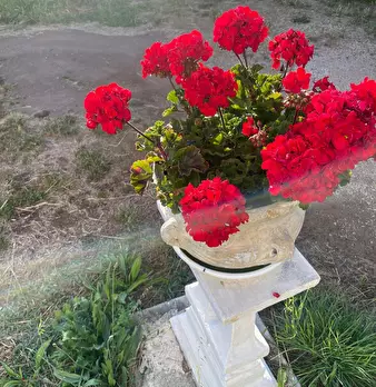 Foto annuncio 3