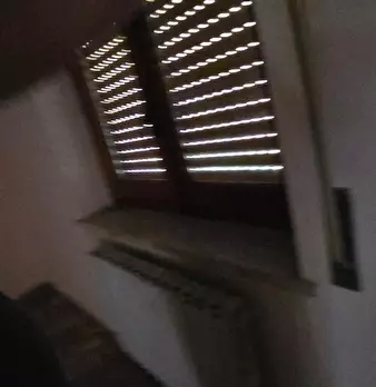 Foto annuncio 52
