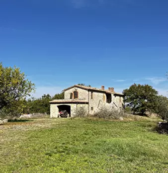 Foto annuncio 49