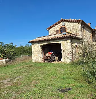 Foto annuncio 28