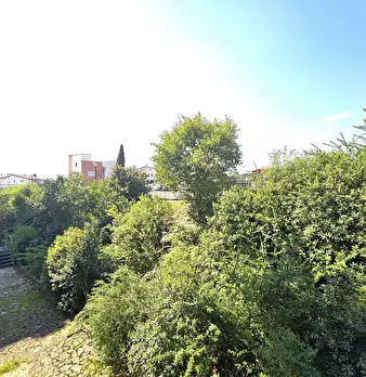 Foto annuncio 12