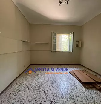 Foto annuncio 12