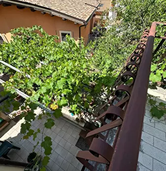 Foto annuncio 7