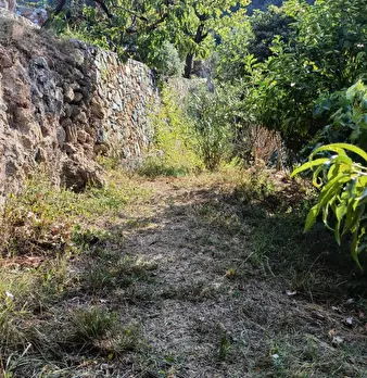 Foto annuncio 28