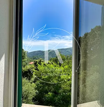 Foto annuncio 38