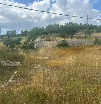 Foto annuncio 15