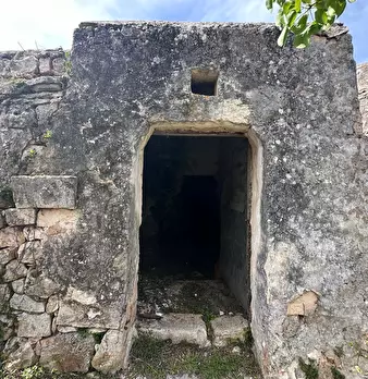 Foto annuncio 18