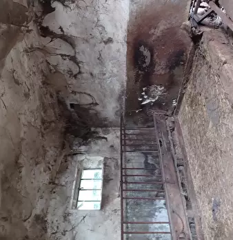 Foto annuncio 5