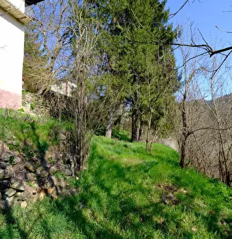 Foto annuncio 42