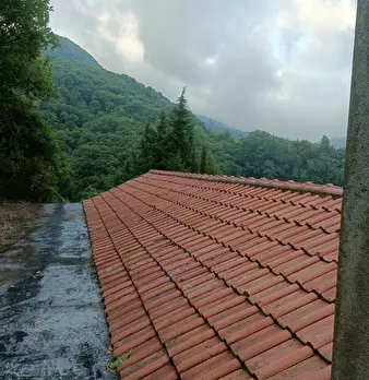 Foto annuncio 29