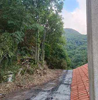 Foto annuncio 28