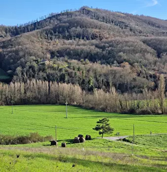 Foto annuncio 70