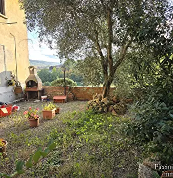 Foto annuncio 55