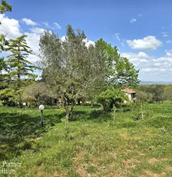 Foto annuncio 3