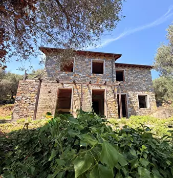 Foto annuncio 9