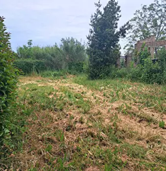 Foto annuncio 56