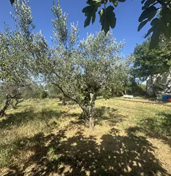 Foto annuncio 5