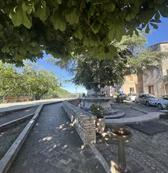 Foto annuncio 76