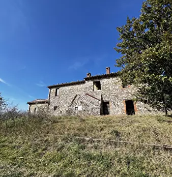 Foto annuncio 42
