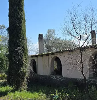 Foto annuncio 6