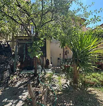 Foto annuncio 30