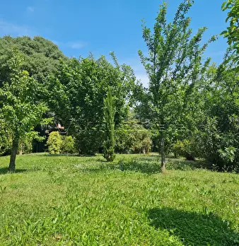 Foto annuncio 38