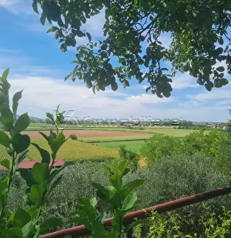 Foto annuncio 9